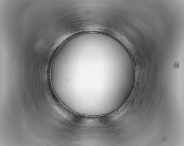 X0000093560155200710291026