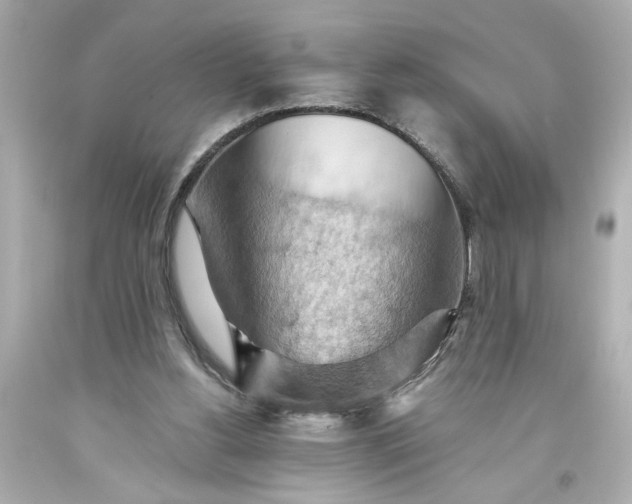 X0000093560156200710291026