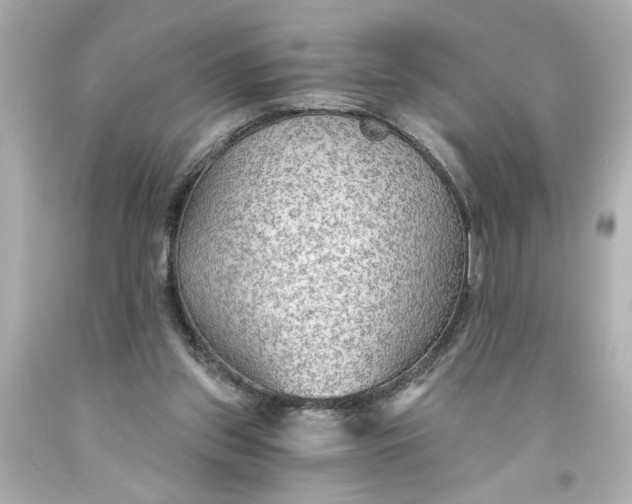 X0000093560157200710291026