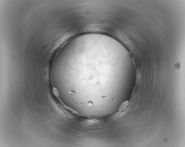 X0000093560158200710291026