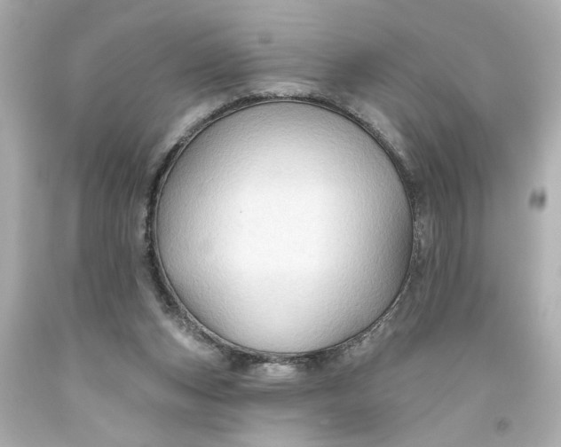 X0000093560159200710291026