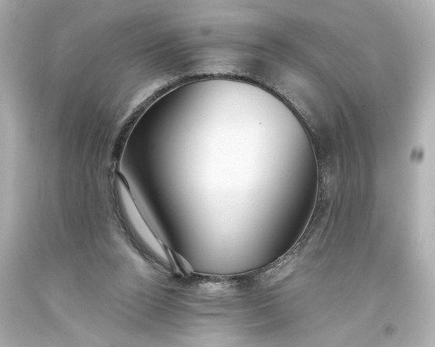 X0000093560160200710291026