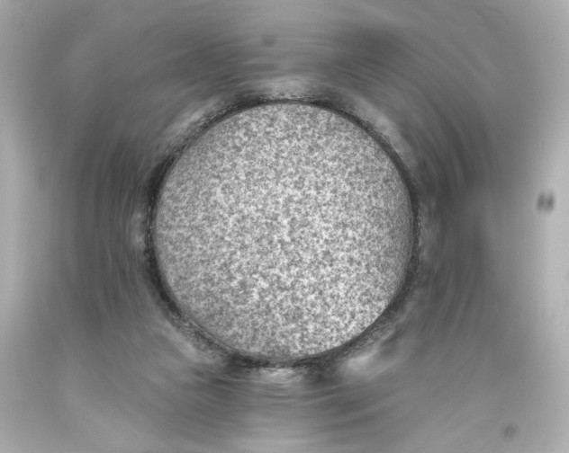 X0000093560161200710291026