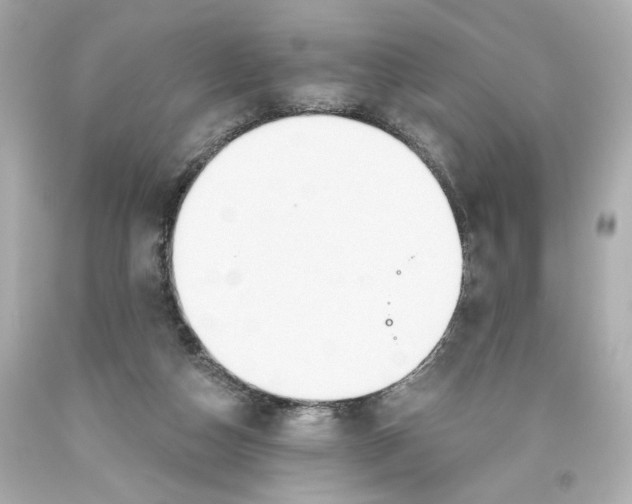 X0000093560162200710291026