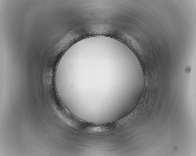 X0000093560163200710291026