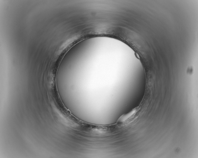 X0000093560164200710291026