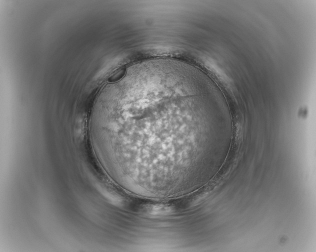 X0000093560165200710291026