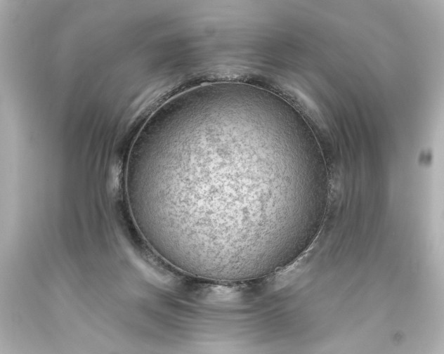 X0000093560166200710291026