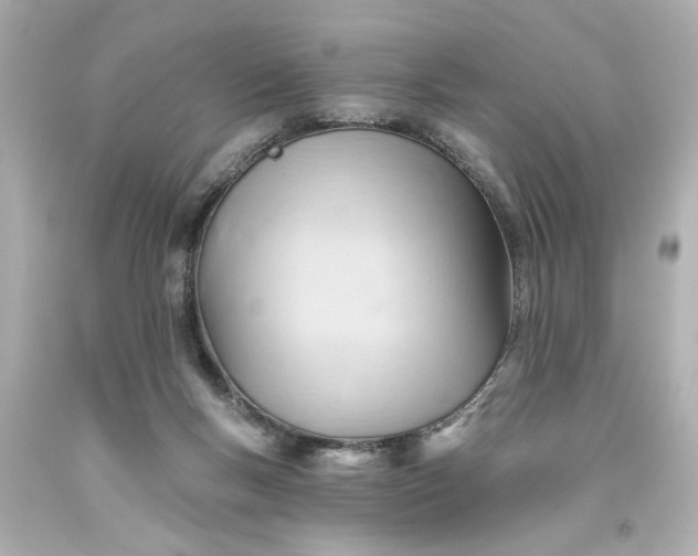 X0000093560167200710291026