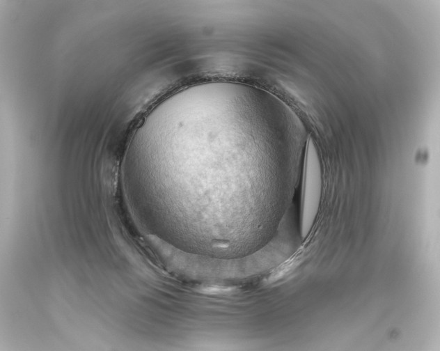 X0000093560168200710291026