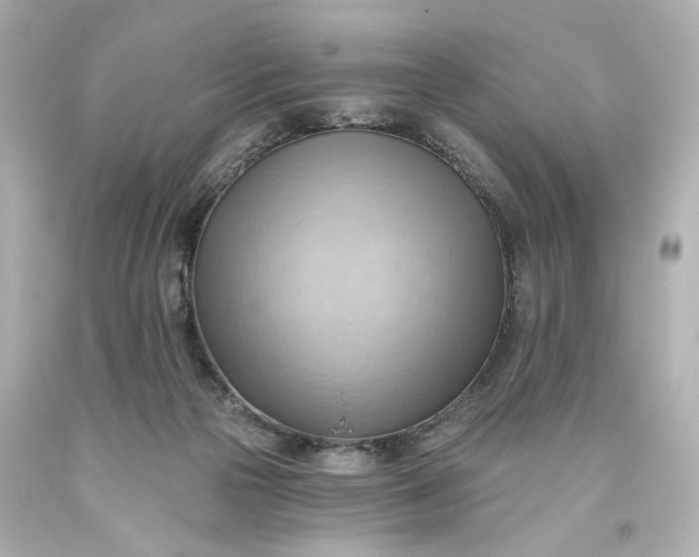 X0000093560169200710291026