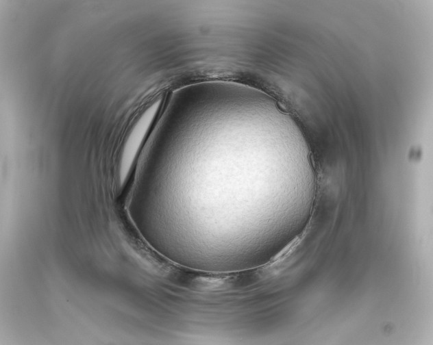 X0000093560170200710291026