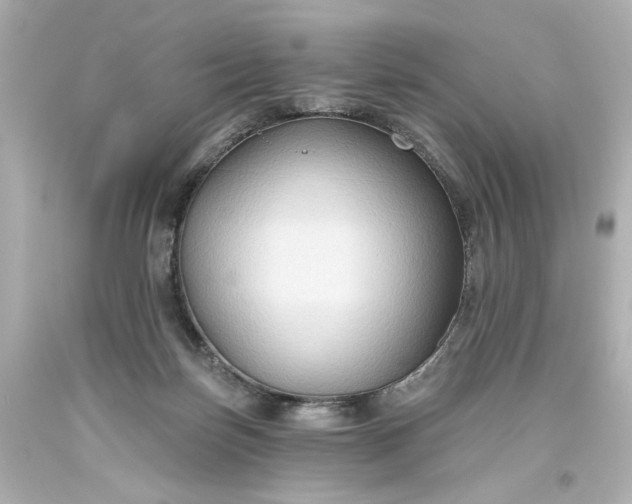 X0000093560171200710291026