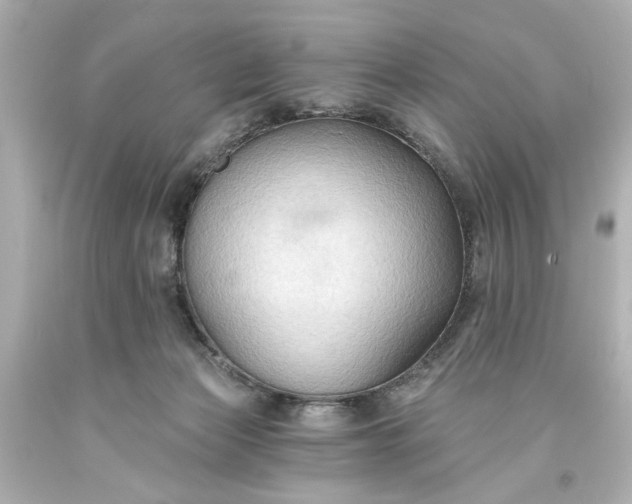 X0000093560173200710291026