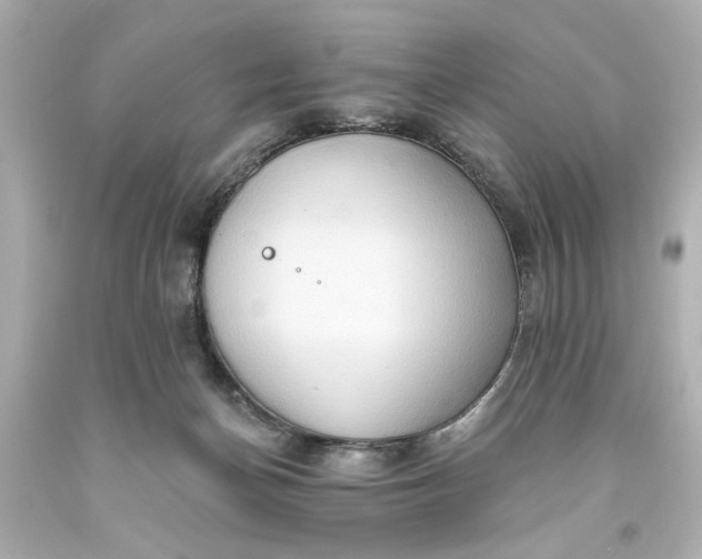 X0000093560174200710291026