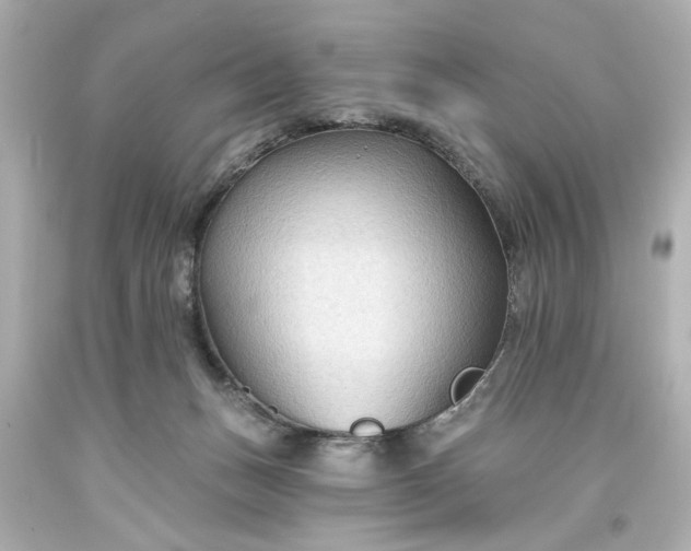 X0000093560175200710291026