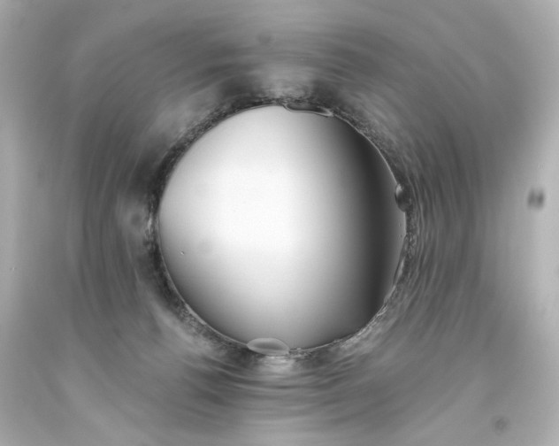 X0000093560176200710291026