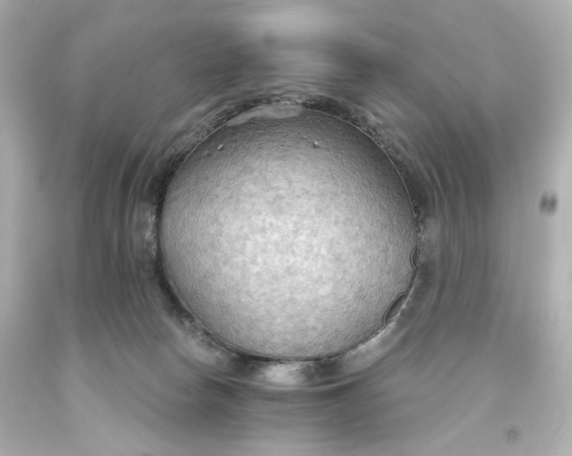 X0000093560178200710291026