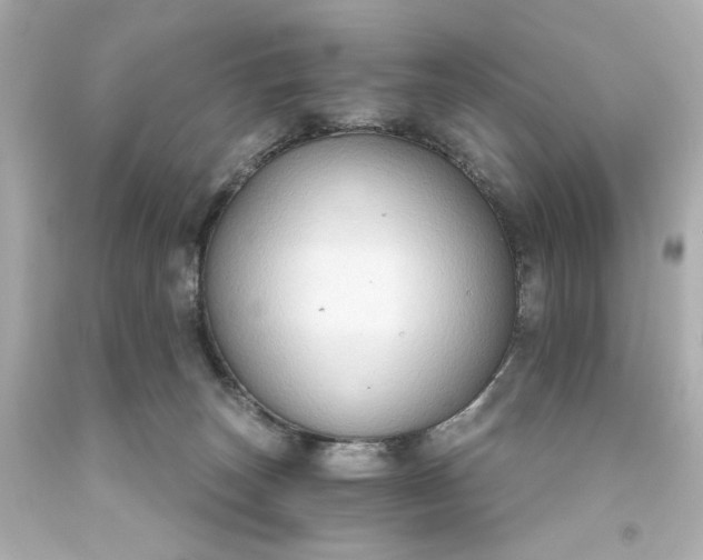 X0000093560179200710291026