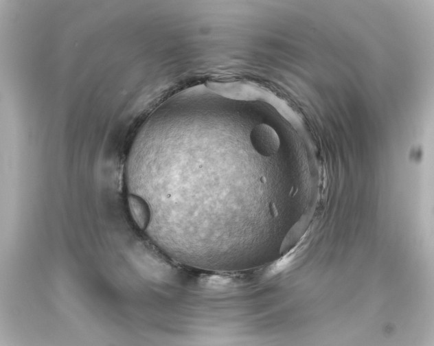 X0000093560180200710291026