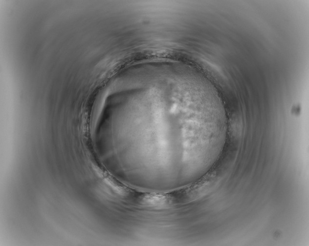 X0000093560181200710291026