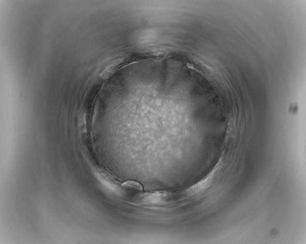 X0000093560182200710291026