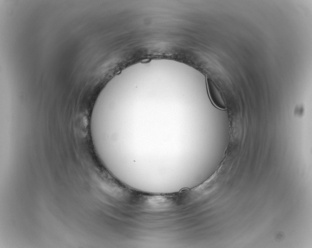 X0000093560183200710291026