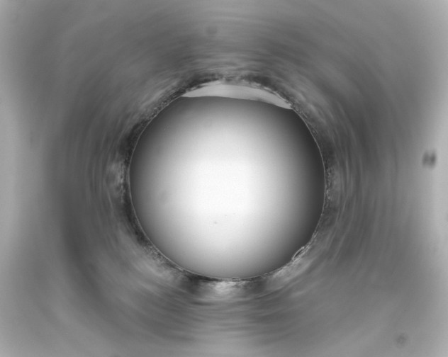 X0000093560184200710291026