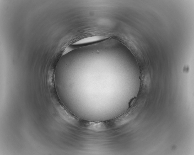 X0000093560185200710291026