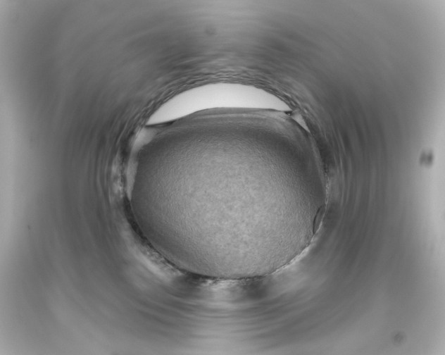 X0000093560186200710291026