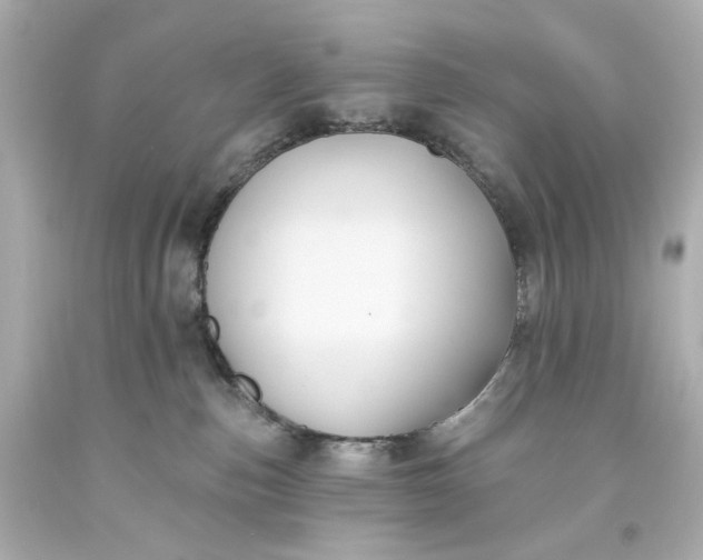 X0000093560187200710291026