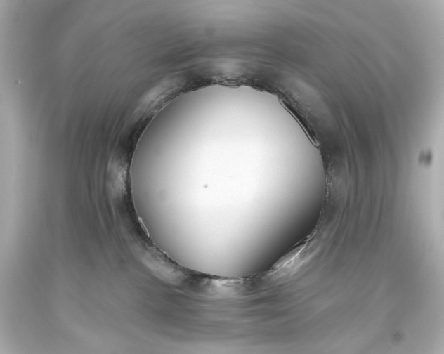 X0000093560188200710291026