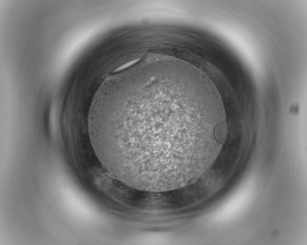 X0000093560189200710291026