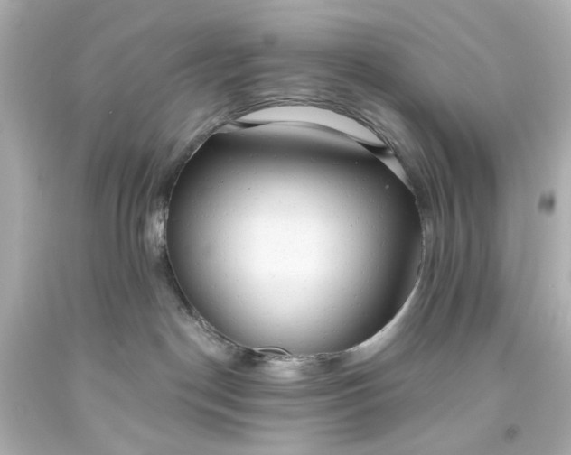 X0000093560190200710291027