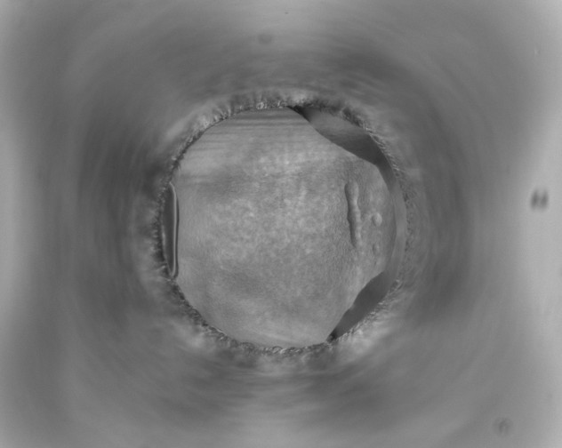 X0000093560192200710291027