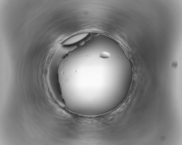 X0000093560193200710291026