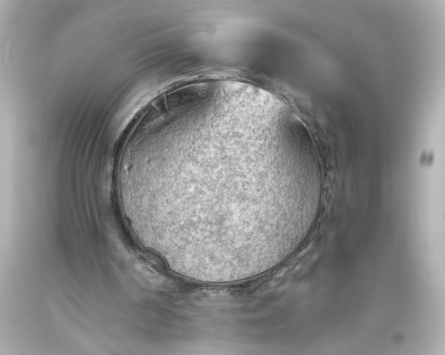 X0000093560194200710291026