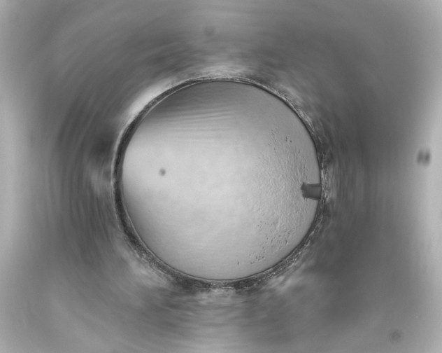 X0000093560196200710291026