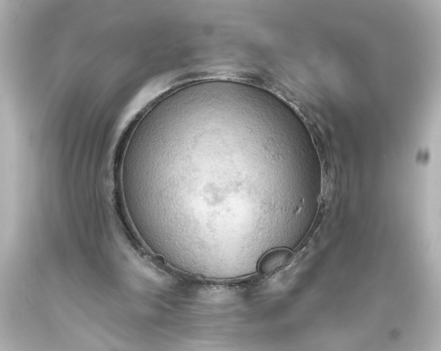 X0000093560198200710291026