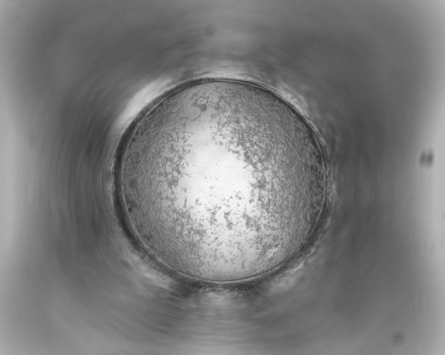 X0000093560199200710291026