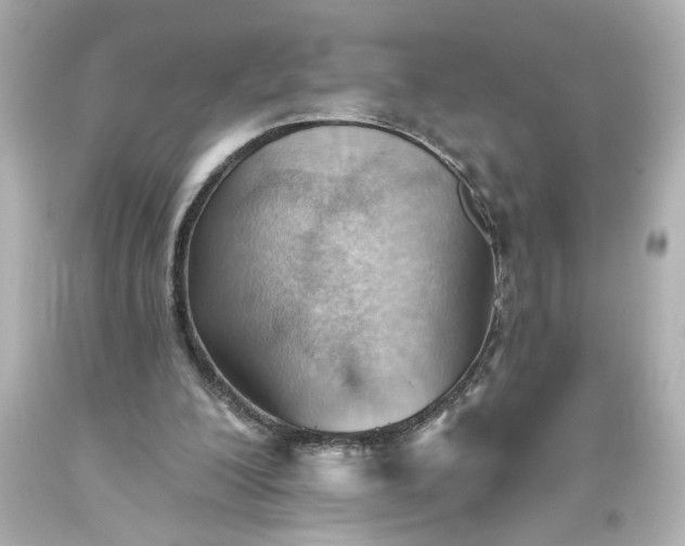 X0000093560200200710291026