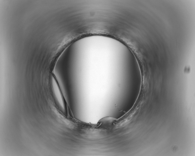 X0000093560201200710291026