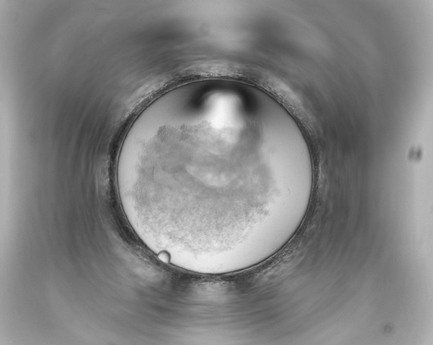 X0000093560202200710291026