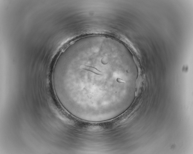 X0000093560203200710291026