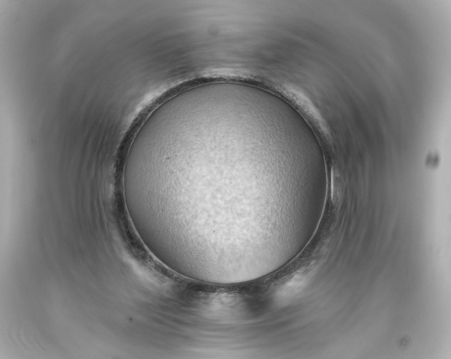 X0000093560204200710291026