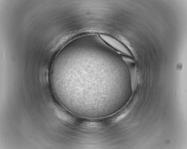 X0000093560205200710291026