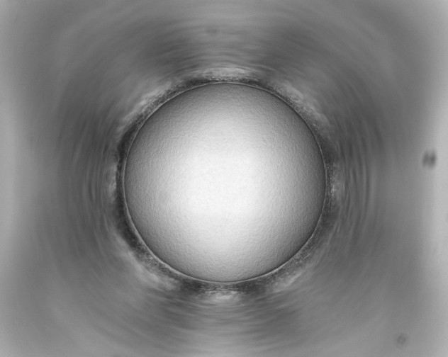 X0000093560206200710291026