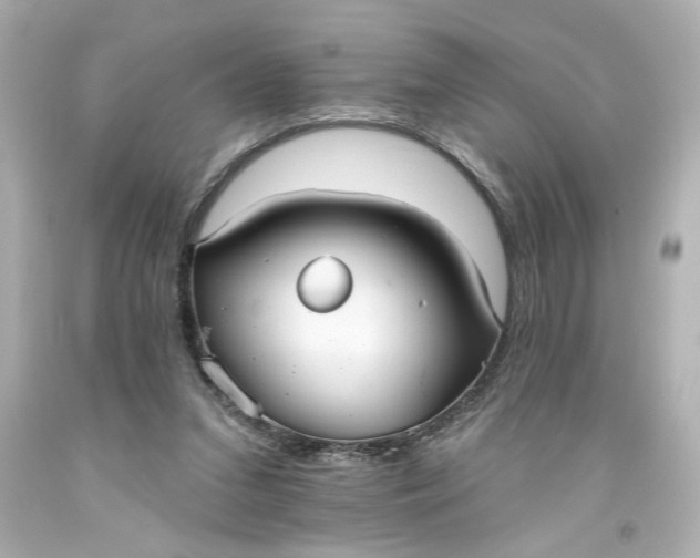 X0000093560207200710291026