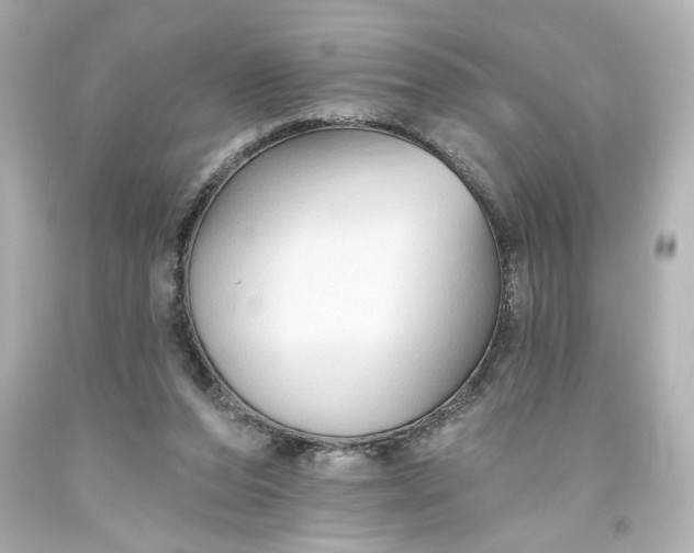 X0000093560208200710291026