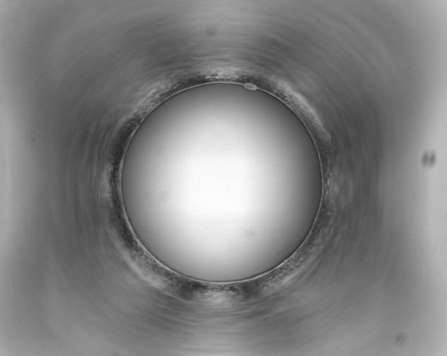 X0000093560209200710291026